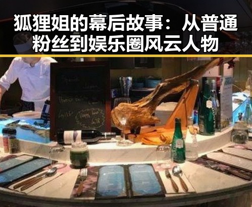 狐狸姐的幕后故事：从普通粉丝到娱乐圈风云人物
