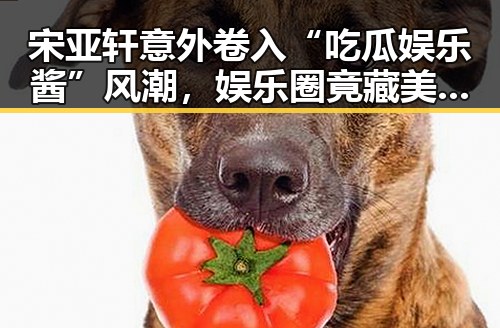 宋亚轩意外卷入“吃瓜娱乐酱”风潮，娱乐圈竟藏美食新趣？