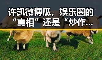 许凯微博瓜，娱乐圈的“真相”还是“炒作”反差？🤔