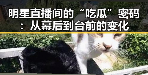 明星直播间的“吃瓜”密码：从幕后到台前的变化